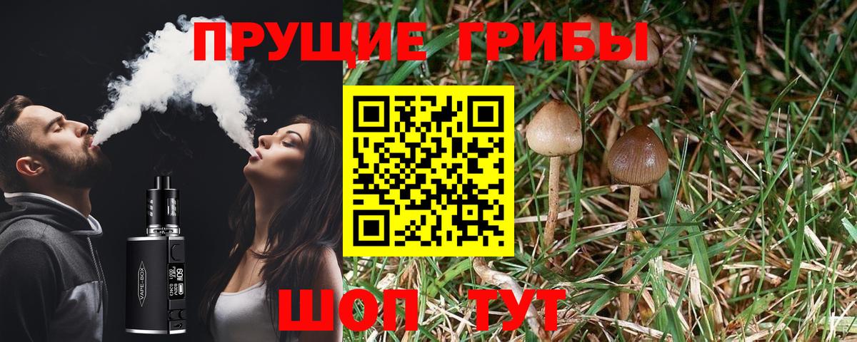 Псилоцибиновые грибы GOLDEN TEACHER  Галлюциногенные грибы Cubensis  Ленинск-Кузнецкий  Вход с VPN 